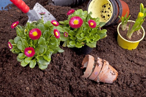Garden maintenance in Foresthill with neat lawns and trimmed borders