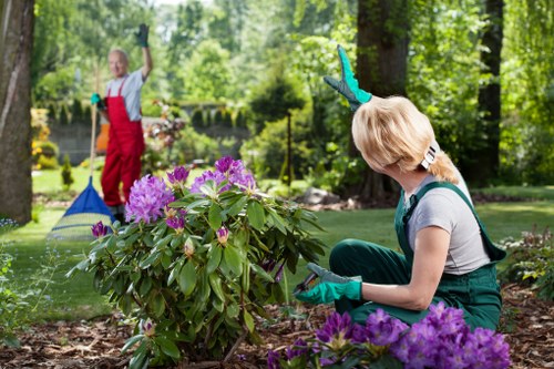 Landscapers Foresthill recycling and sustainability service with eco-friendly waste disposal