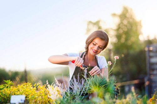 Professional planting services creating a healthy Foresthill landscape