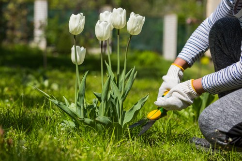 Illustration of cookie policy on a landscaping website