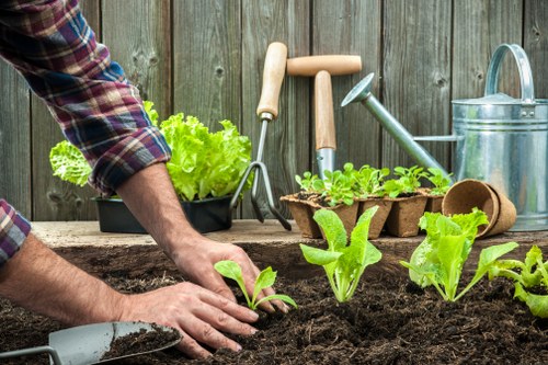 Illustration representing accessible landscaping services in Foresthill