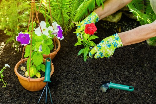 Landscapers Foresthill pricing overview with transparent rubbish removal rates