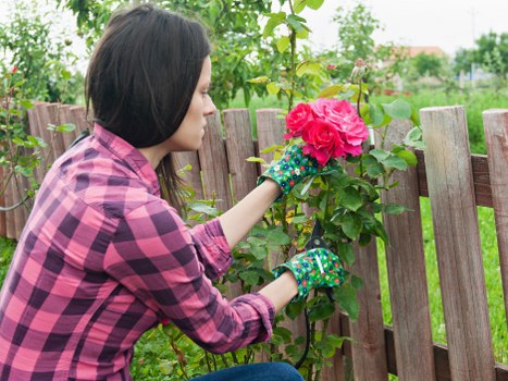 Fence repair needs in Foresthill with damaged wooden panels