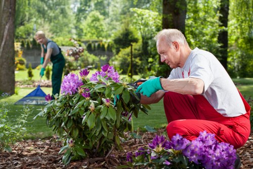 Seasonal lawn mowing in Foresthill with tidy yard maintenance