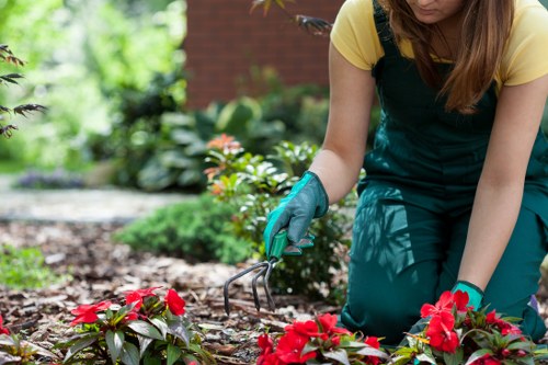 Professional Foresthill landscapers completing a safe insured clearance