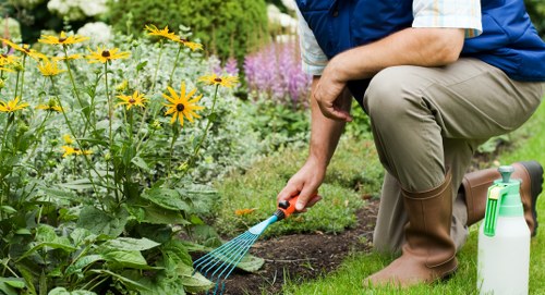 Hard landscaping and patio cleaning during garden maintenance in Foresthill