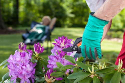 Seasonal autumn garden maintenance in Foresthill with leaf clearance