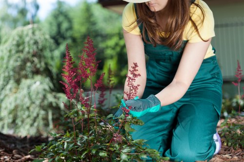 Foresthill garden landscaping with paving and planting features