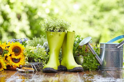 Soil testing and lawn aeration for Foresthill lawn care