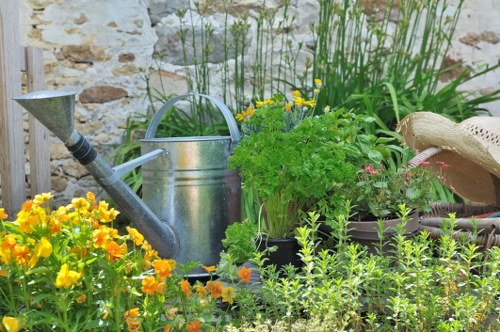 Image representing ongoing accessibility improvements for landscaping information