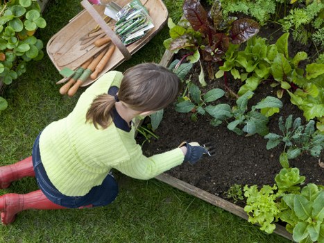 Policy review supporting safe landscaping operations