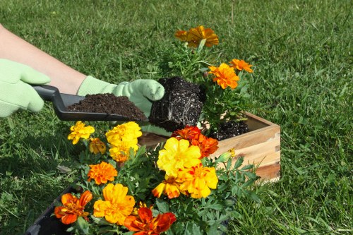 Hardscaping and planting features in a Foresthill yard