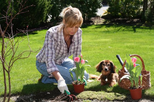Local landscaping team planning a Foresthill property improvement project
