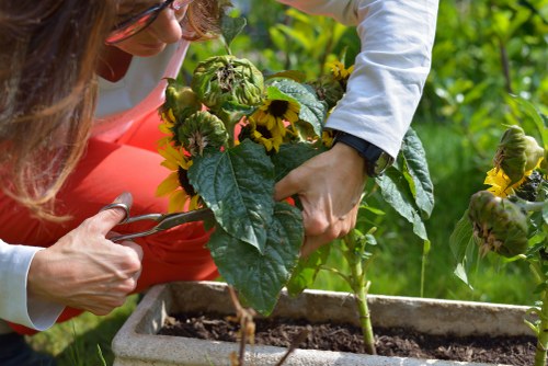 Professional landscapers planning a local outdoor project
